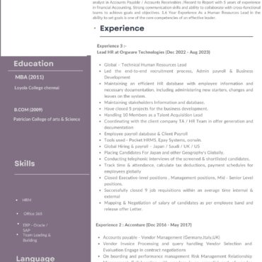 3929 - Senior Accountant