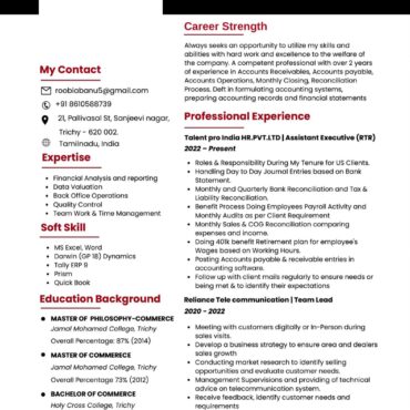 11598-Junior Accountant