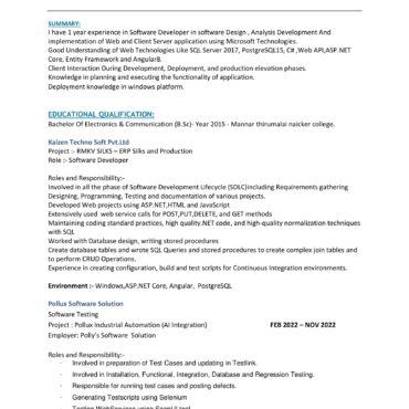 11611 - Software Developer