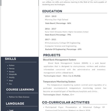 7181 - Data Scientist