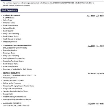 3871 - Senior Accountant