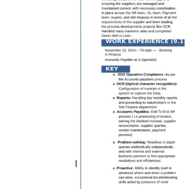 3866 - Senior Accountant