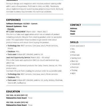 4537-Software Developer