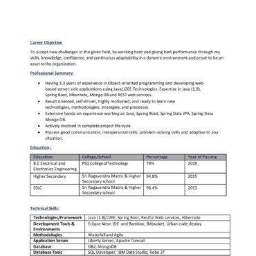 4531-Software Engineer