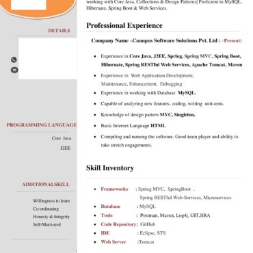 4530-Java Developer