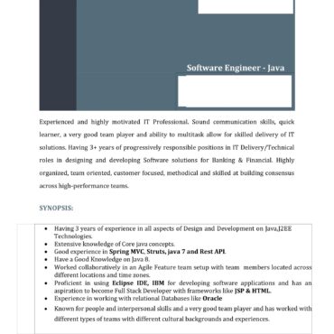 4529-Java Developer