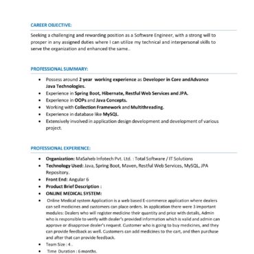 4524-Software Engineer