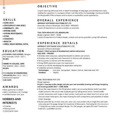 4520-Software Developer