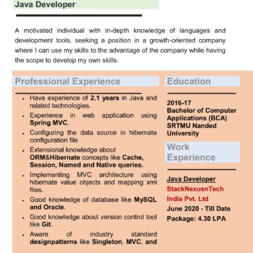 4504-Java Developer