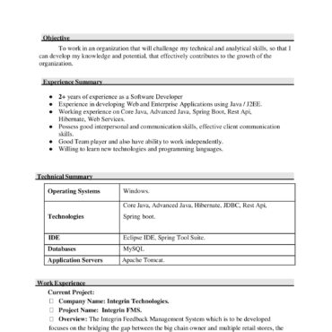 4493-Software Developer