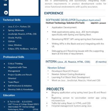 4484-Software Developer