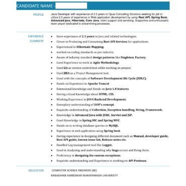 4481-Java Developer