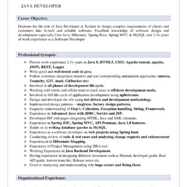 4480-Java Developer