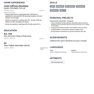 4449-Software Developer