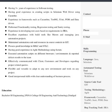 4446-Software Engineer