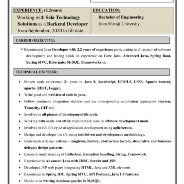 4445-Software Developer