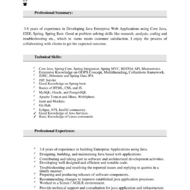 4443-Java Developer