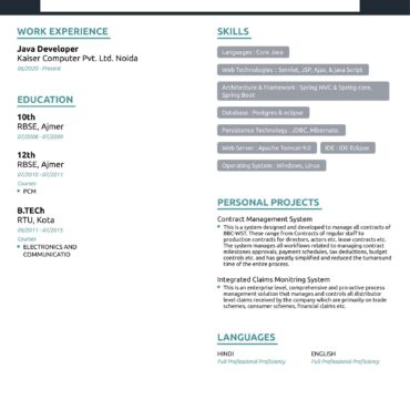 4438-Java Developer