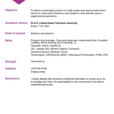 4433-Software Developer