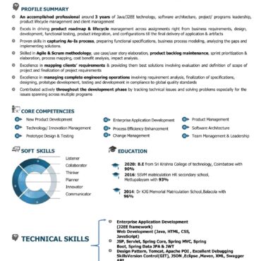 4366-Java Developer