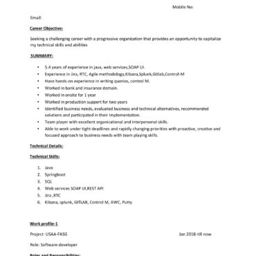 4360-Software Developer