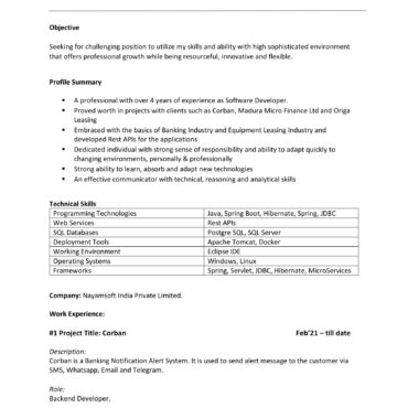 4359-Software Developer