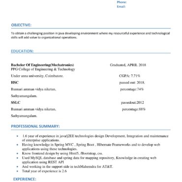 4355-Java Developer