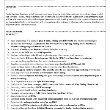 4351-Java Developer