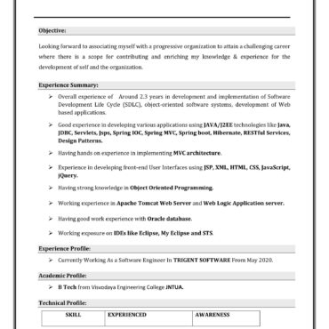 4347-Software Developer