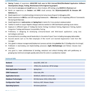 4345-Software Developer