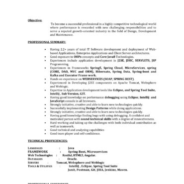 4323-Software Developer