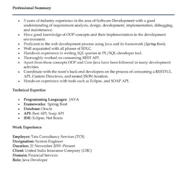 4322-Software Developer