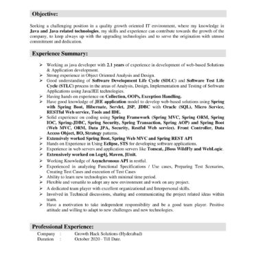 4321-Software Developer