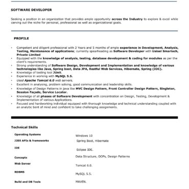 4312-Software Developer