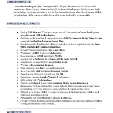 4305-Software Engineer