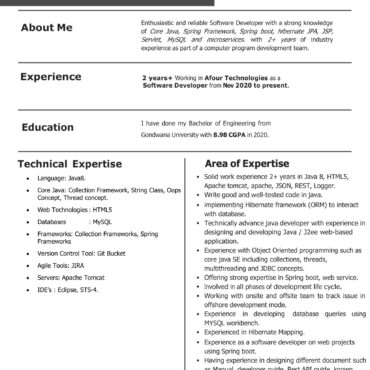 4827-Software Developer
