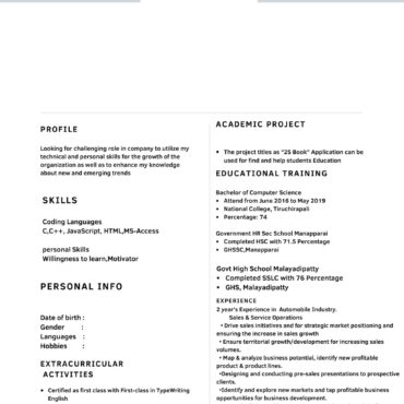 4027-Sales Executive