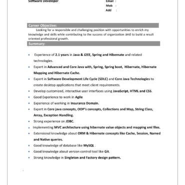 4825-Software Developer