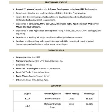 4822-Software Developer