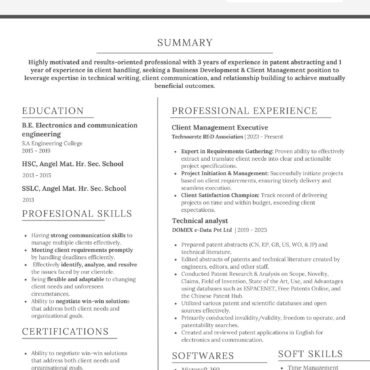 2938-Business Development Executive