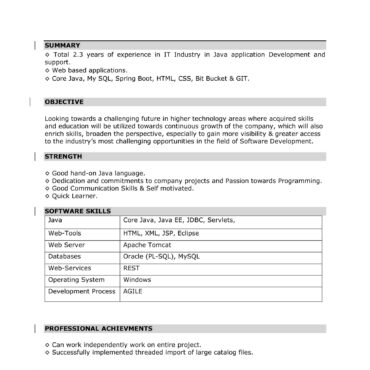 4814-Software Developer
