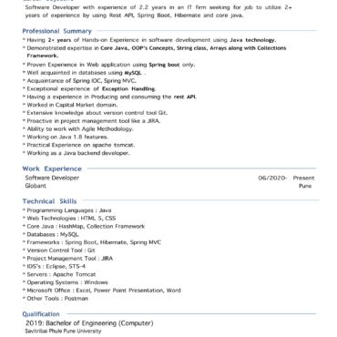 4812-Software Developer