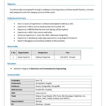 4809-Software Developer
