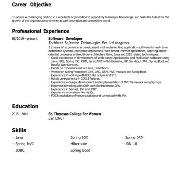 4571-Software Developer