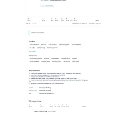 4849-Chartered Accountant Experienced