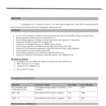4556-Java Developer