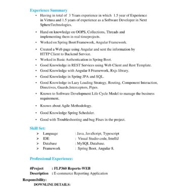 4539-Software Developer