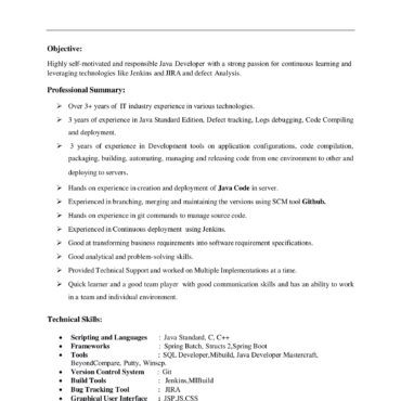 4538-Java Developer