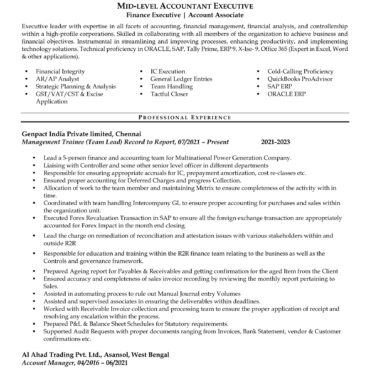 3095-Senior Accountant