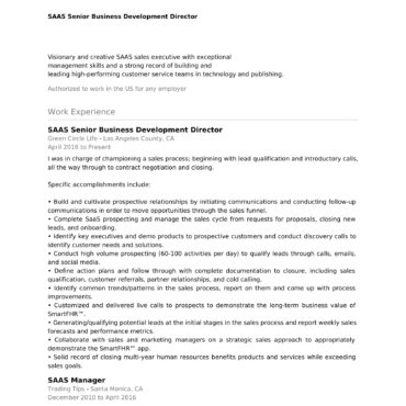 2086-Business Development Executive